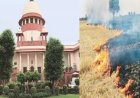 पराली जलाने से रोकने में पंजाब और हरियाणा विफल, सीएक्यूएम का सुप्रीम कोर्ट में हलफनामा