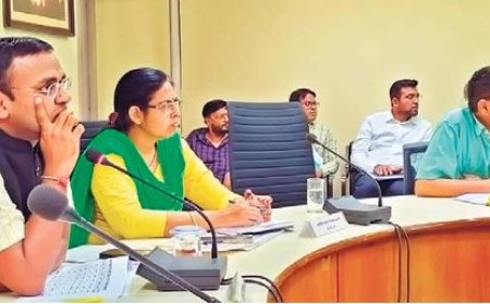 डीएपी के विकल्प में एसएसपी के प्रयोग को करें प्रोत्साहित अच्छी क्वालिटी की देशी