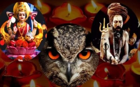 बेचारे उल्लूः दीपावली पर पड़े जान के लाले दीपावली पर ‘तांत्रिक पूजा' के लिए उल्लुओं की मांग हरिद्वार