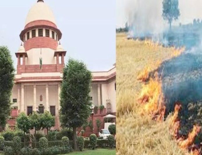 पराली जलाने से रोकने में पंजाब और हरियाणा विफल, सीएक्यूएम का सुप्रीम कोर्ट में हलफनामा