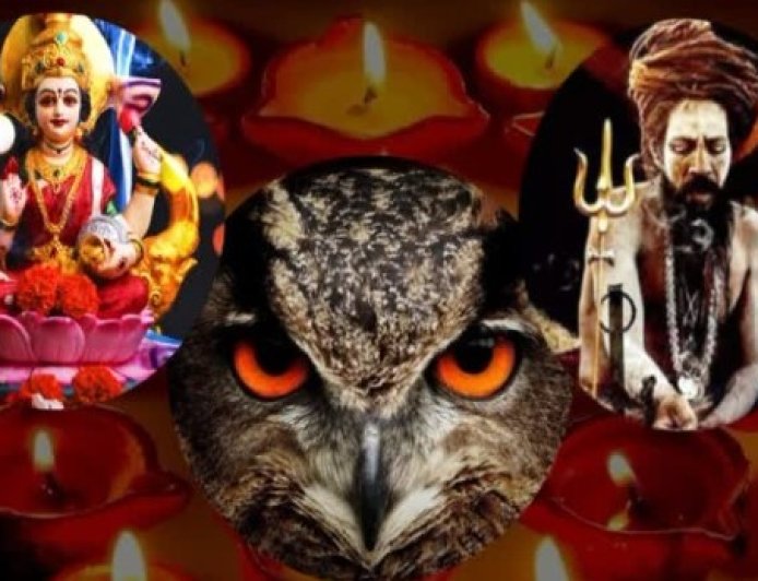 बेचारे उल्लूः दीपावली पर पड़े जान के लाले दीपावली पर ‘तांत्रिक पूजा' के लिए उल्लुओं की मांग हरिद्वार