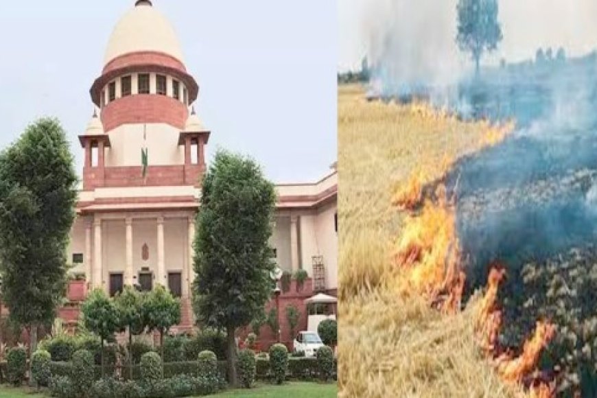 पराली जलाने से रोकने में पंजाब और हरियाणा विफल, सीएक्यूएम का सुप्रीम कोर्ट में हलफनामा