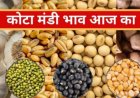 कोटा मंडी किराना भाव सोयाबीन, धान एवं लहसुन के भावों में मंदी रही