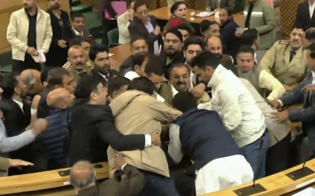 जम्मू-कश्मीर विधानसभा में अनुच्छेद 370 पर फिर हंगामा, मारपीट बाहर निकाले गए भाजपा विधायक
