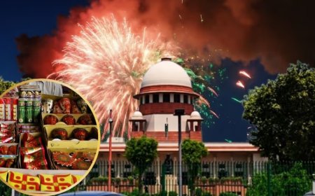 दिल्ली में पटाखों पर रोक सही ढंग से लागू न होने पर दिल्ली पुलिस को सुप्रीम कोर्ट की फटकार