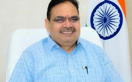 विकास प्रोत्साहन एवं नियत्रंण उपविधियां लागू