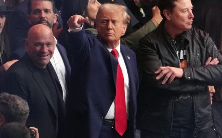 ट्रंप के प्रस्तावित मंत्रियों से हिला पाकिस्तान वॉशिंगटन / इस्लामाबाद।