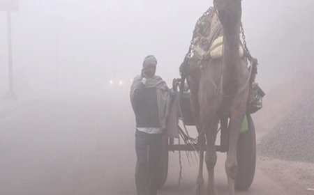 सर्दी ने दी दस्तक : उत्तर पश्चिम राजस्थान के कई शहरों में छाया घना कोहरा नौ शहरों का पारा दस से नीचे