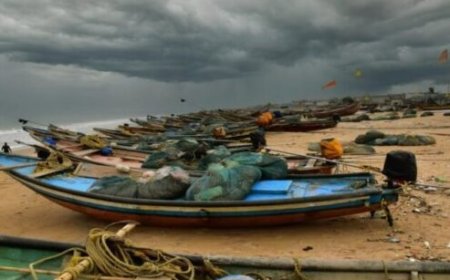 'फेजल' के रविवार तक भारत पहुंचने की संभावना कोलकाता।