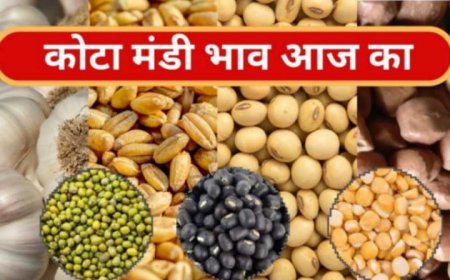 कोटा मंडी किराना भाव सोयाबीन, धान एवं लहसुन के भावों में मंदी रही
