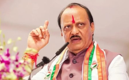 राकांपा एपी की बैठक में अजित पवार चुने गए विधायक दल के नेता, अनिल बने चीफ व्हिप मुंबई