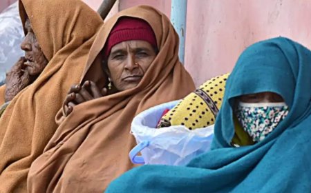 प्रदेश के पारे में उतार-चढ़ाव जारी, आठ शहरों का रात का पारा 10 डिग्री से नीचे 7.2 डिग्री के साथ माउंट आबू सबसे सर्द, जयपुर का पारा चढ़ा