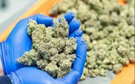 कोटा पुलिस ने ऐसी की जांच, तस्कर बरी हो गया