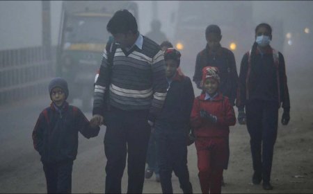 तेज सर्दी के चलते जयपुर, चित्तौड़गढ़ और करौली जिले के स्कूलों में अवकाश घोषित