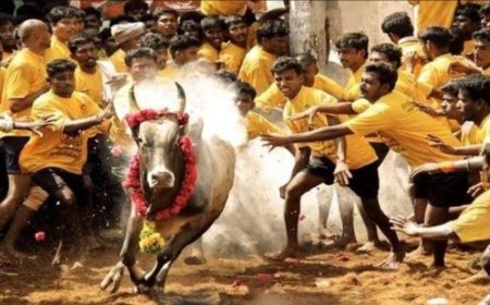तमिलनाडु में जल्लीकट्टू से 1 दिन में 7 की मौत 400 से ज्यादा लोग घायल, 2 बैलों की भी जान गई