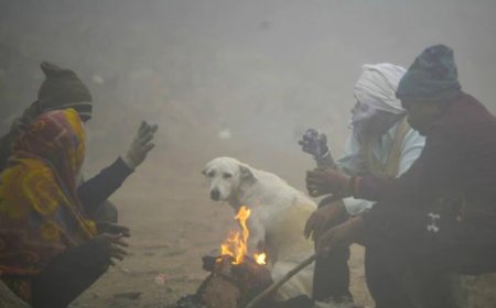 शीतलहर से बढ़ी ठंड, 13 शहरों का रात का पारा 10 डिग्री सेल्सियस से नीचे