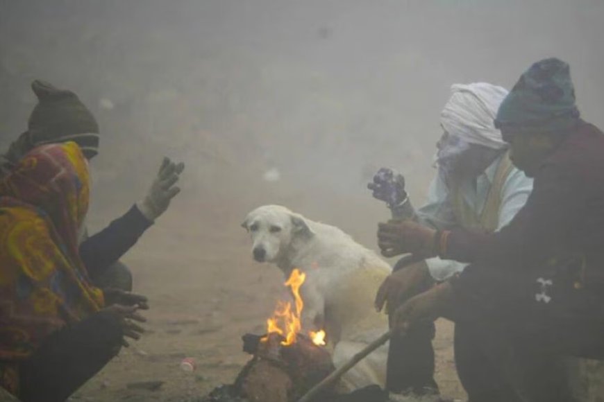 शीतलहर से बढ़ी ठंड, 13 शहरों का रात का पारा 10 डिग्री सेल्सियस से नीचे