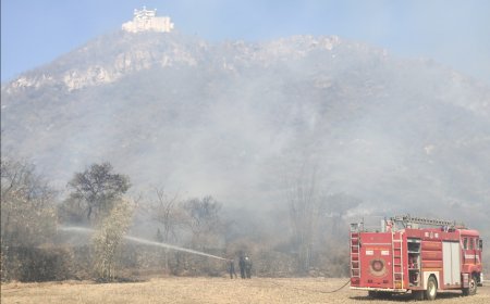 सज्जनगढ़ वन्यजीव अभयारण्य में में आग बेकाबू
