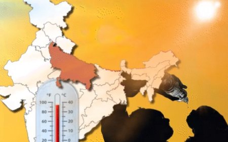 प्रदेश में मौसम का सर्द-गर्म मिजाज, अब सताएगी गर्मी