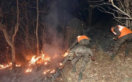 माउंट आबू के जंगलों में भीषण आग में सेना की मदद से हालात नियंत्रण में