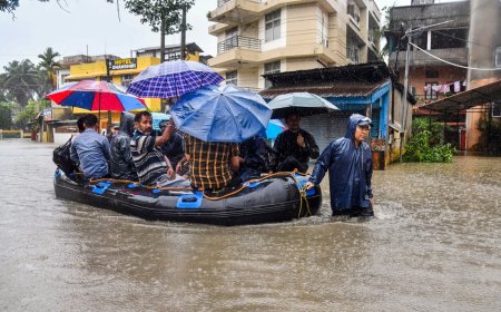 पूर्वोत्तर भारत में लगातार हो रही मानसूनी बारिश ने व्यापक तबाही मचाई है