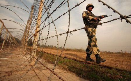 जम्मू-कश्मीर के उरी सेक्टर में नियंत्रण रेखा (LoC) के पास भारतीय सुरक्षा बलों ने घुसपैठ