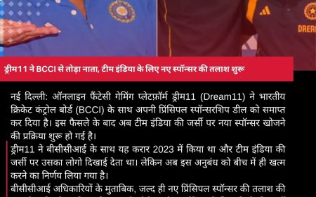 ड्रीम11 ने BCCI से तोड़ा नाता, टीम इंडिया के लिए नए स्पॉन्सर की तलाश शुरू