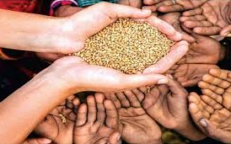 अर्थव्यवस्था और जन कल्याण के उपाय