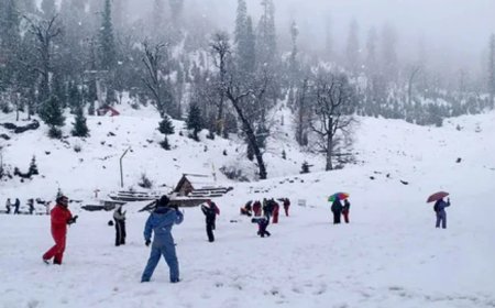 उत्तर भारत में ठंड का प्रकोप: माउंट आबू में पारा शून्य, बद्रीनाथ में झीलें जमीं; MP के 26 जिलों में शीतलहर अलर्ट