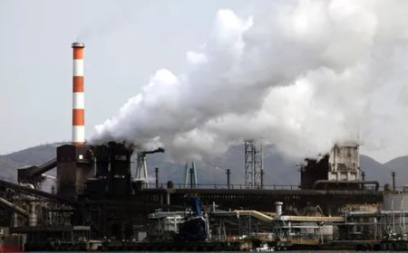 कोविड के बाद भारत में वायु प्रदूषण बना सबसे बड़ा सार्वजनिक स्वास्थ्य संकट, डॉक्टरों ने दी गंभीर चेतावनी