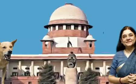 आवारा कुत्तों के मामले में सुप्रीम कोर्ट की मेनका गांधी को कड़ी फटकार, बयान को बताया अवमानना के दायरे में