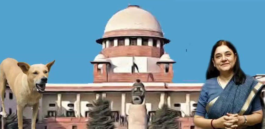 आवारा कुत्तों के मामले में सुप्रीम कोर्ट की मेनका गांधी को कड़ी फटकार, बयान को बताया अवमानना के दायरे में