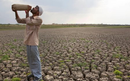 भारत में मार्च 2026 के लिए असामान्य रूप से गर्म मौसम का पूर्वानुमान