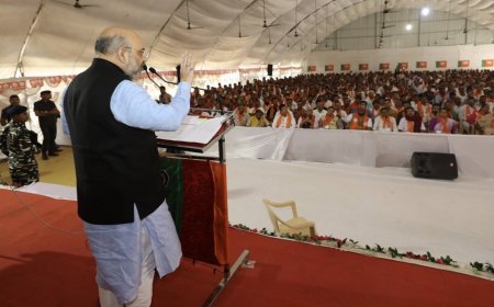 शक्ति प्रदर्शन और जनसमर्थन