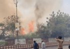 कोटा में आग की बढ़ती घटनाएं: एयरपोर्ट परिसर से लेकर ऐतिहासिक पेड़ तक, गर्मी बनी बड़ी वजह