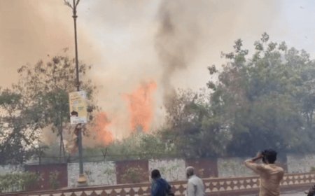 कोटा में आग की बढ़ती घटनाएं: एयरपोर्ट परिसर से लेकर ऐतिहासिक पेड़ तक, गर्मी बनी बड़ी वजह