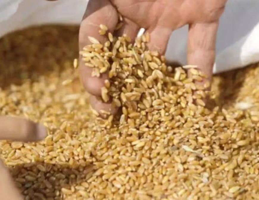 अर्थव्यवस्था और एक्सपोर्ट: गेहूं निर्यात बढ़ाने का फैसला, स्टॉक का मिलेगा फायदा