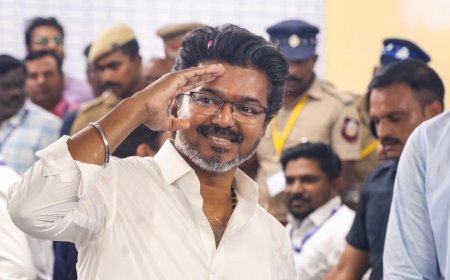तमिलनाडु में सत्ता समीकरण बदले, विजय की पार्टी TVK ने पेश किया सरकार बनाने का दावा
