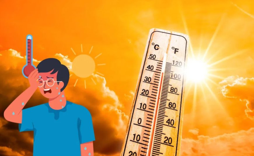 उत्तर भारत में भीषण गर्मी का कहर, राजस्थान, दिल्ली और यूपी में हीटवेव अलर्ट जारी